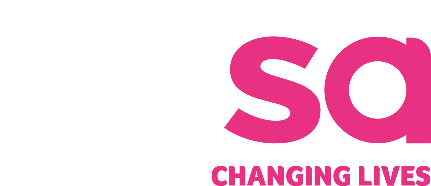 4. PDSA.png