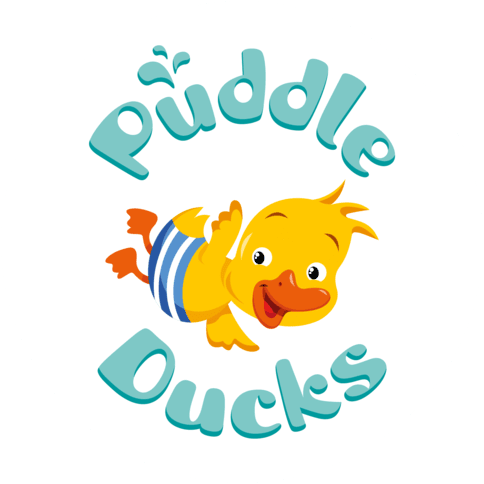 3 Puddle Ducks Small